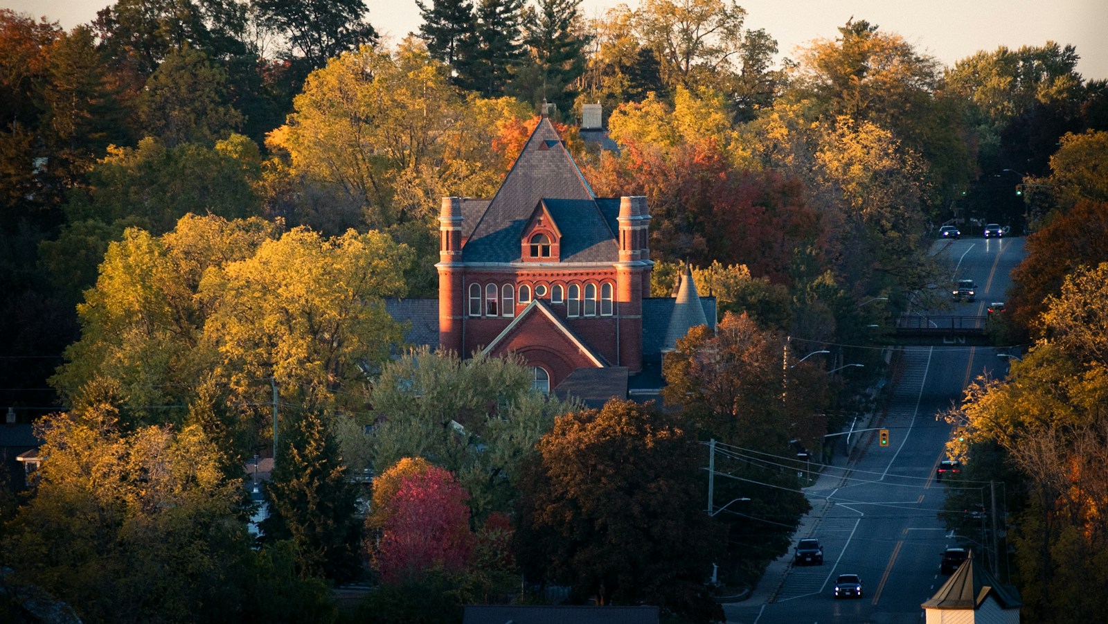 Williamston, MI skyline